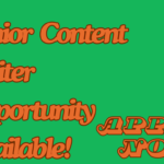 Content Writer